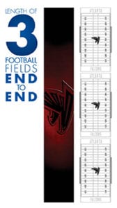 MBS Football Field Infographic 2016